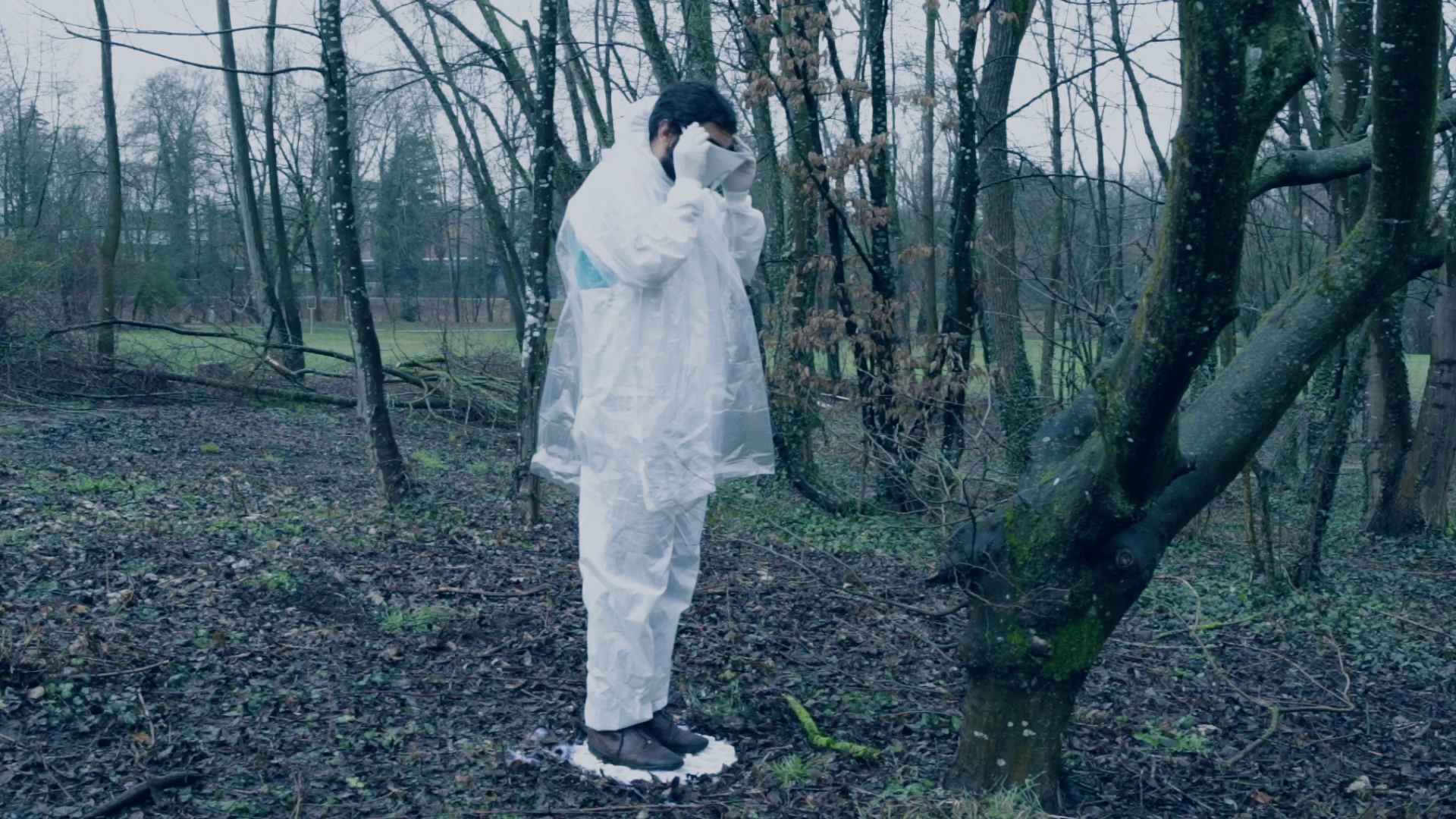 TreeLink Still 3