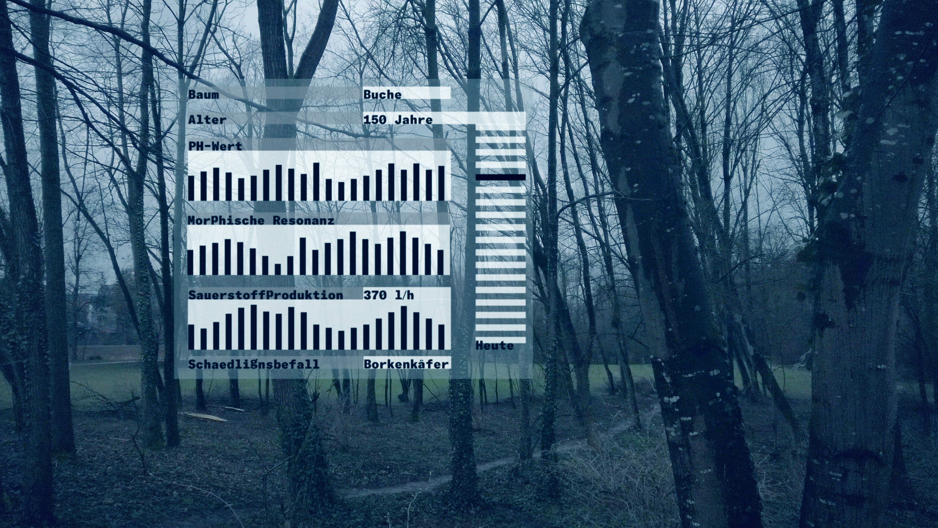 TreeLink Still 4